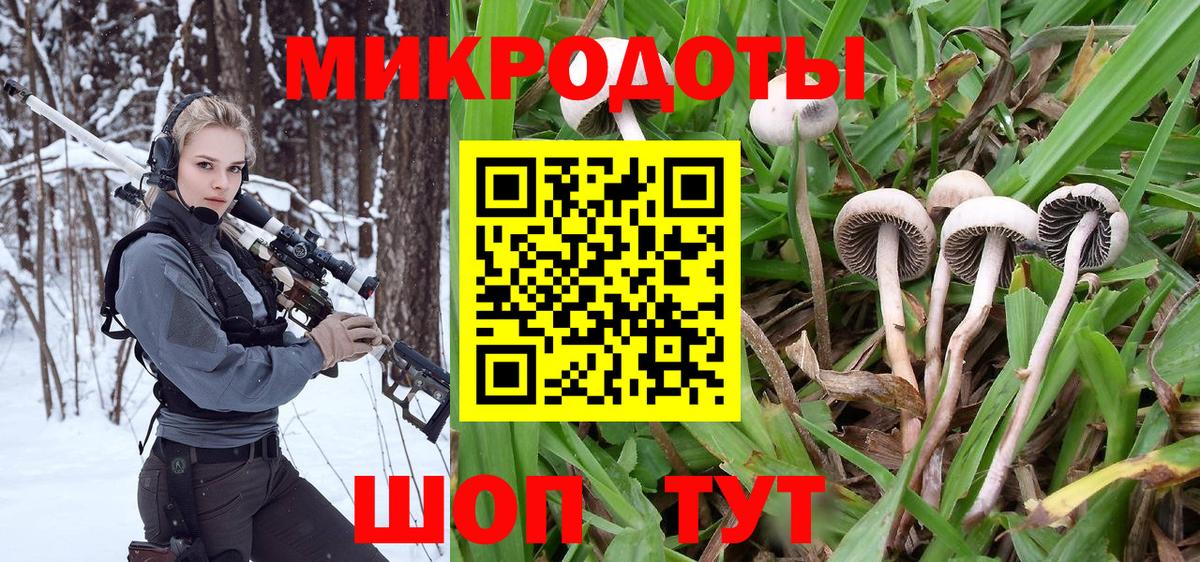 Родники  Псилоцибиновые грибы Psilocybe  Вход с VPN 